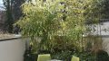 Vordere Terrasse