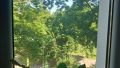 Blick aus der Wohnung