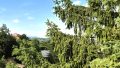 Fernblick