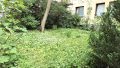 Gemeinschaftsgarten