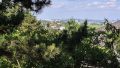 Fernblick