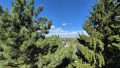 Fernblick